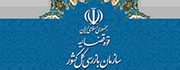 بازرسی کل